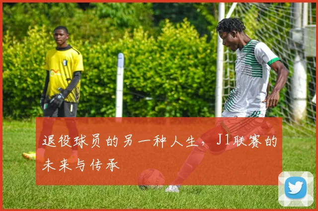 退役球员的另一种人生，J1联赛的未来与传承