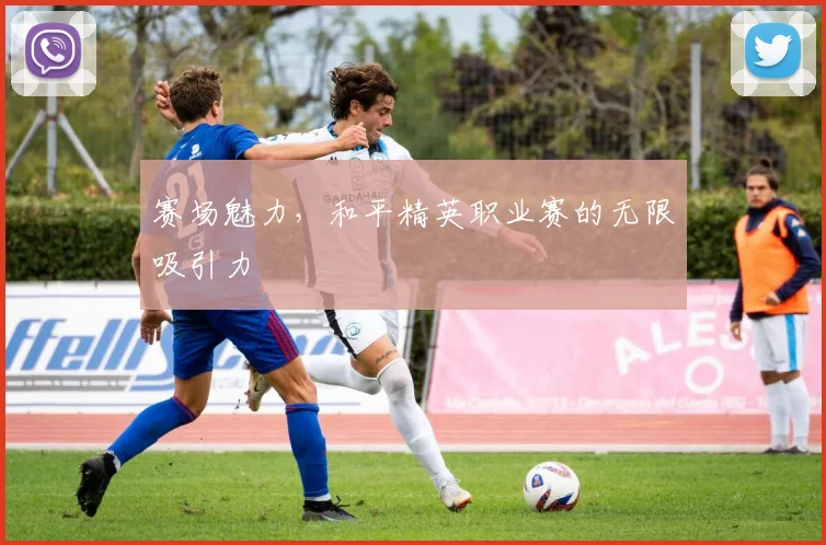 赛场魅力，和平精英职业赛的无限吸引力